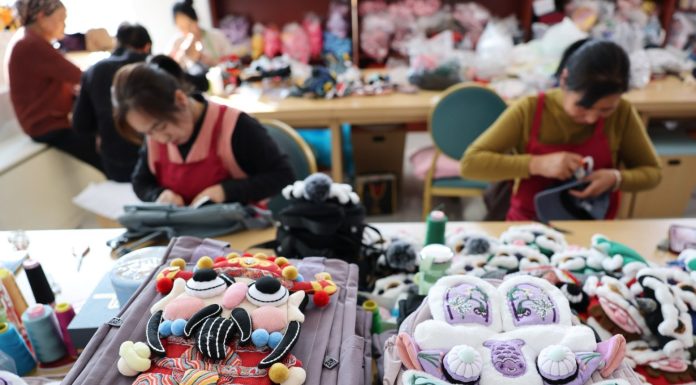 Cina: patrimonio immateriale ed e-commerce creano lavoro nel Ningxia (2)