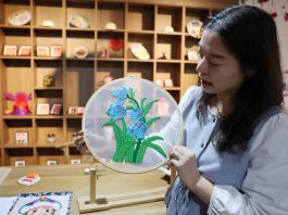 Cina: patrimonio immateriale ed e-commerce creano lavoro nel Ningxia (3)