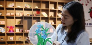 Cina: patrimonio immateriale ed e-commerce creano lavoro nel Ningxia (3)