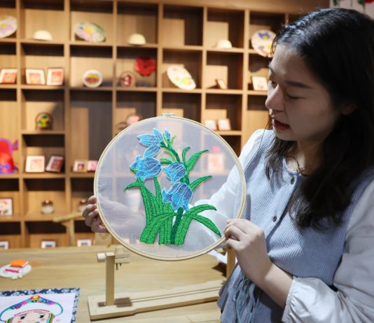 Cina: patrimonio immateriale ed e-commerce creano lavoro nel Ningxia (3)