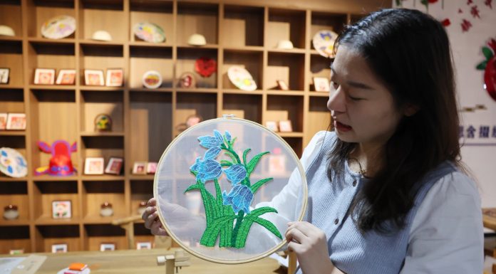 Cina: patrimonio immateriale ed e-commerce creano lavoro nel Ningxia (3)