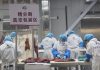 Cina: contea di Jingyuan sviluppa filiera legata al bestiame di qualità (2)