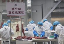Cina: contea di Jingyuan sviluppa filiera legata al bestiame di qualità (2)