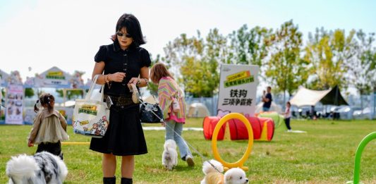 Cina: gare e attività per animali domestici a Yinchuan (2)