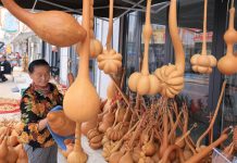 Cina: Shandong, industria delle zucche favorisce la rivitalizzazione rurale (1)