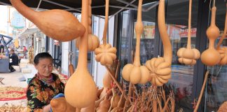Cina: Shandong, industria delle zucche favorisce la rivitalizzazione rurale (1)
