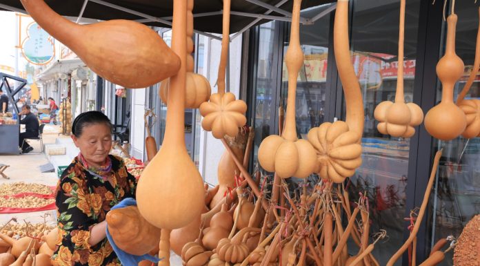 Cina: Shandong, industria delle zucche favorisce la rivitalizzazione rurale (1)