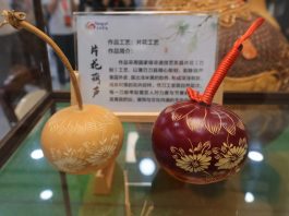 Cina: Shandong, industria delle zucche favorisce la rivitalizzazione rurale (3)