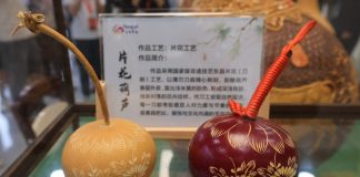Cina: Shandong, industria delle zucche favorisce la rivitalizzazione rurale (3)