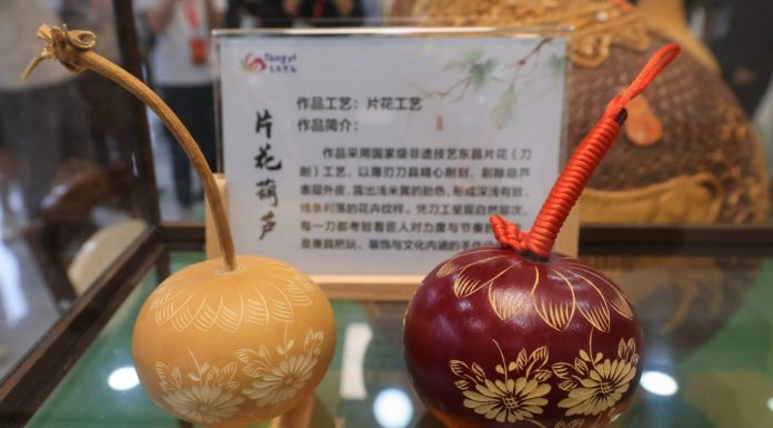 Cina: Shandong, industria delle zucche favorisce la rivitalizzazione rurale (3)