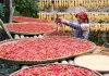 Cina: Jiangxi, crescita del turismo offre nuove opportunità a Huangling (1)
