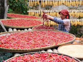 Cina: Jiangxi, crescita del turismo offre nuove opportunità a Huangling (1)