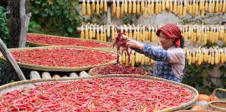 Cina: Jiangxi, crescita del turismo offre nuove opportunità a Huangling (1)
