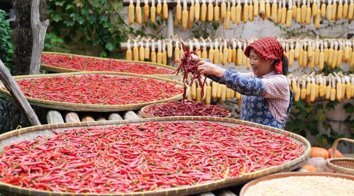 Cina: Jiangxi, crescita del turismo offre nuove opportunità a Huangling (1)
