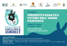 A Pantelleria torna il Festival dell’Asino Pantesco, focus sulla tutela e sulla biodiversità