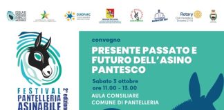 A Pantelleria torna il Festival dell’Asino Pantesco, focus sulla tutela e sulla biodiversità