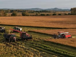 Cina: stagione del raccolto nelle risaie dello Heilongjiang (1)