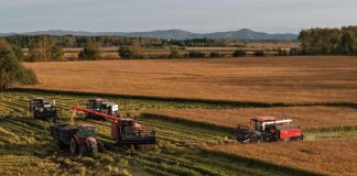 Cina: stagione del raccolto nelle risaie dello Heilongjiang (1)
