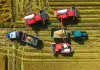 Cina: stagione del raccolto nelle risaie dello Heilongjiang (2)