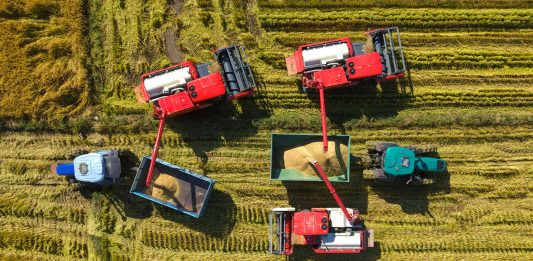 Cina: stagione del raccolto nelle risaie dello Heilongjiang (2)