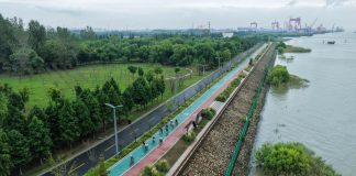 Cina: a Nantong spazi ecologici e ricreativi lungo lo Yangtze (1)