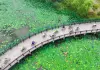 Cina: a Nantong spazi ecologici e ricreativi lungo lo Yangtze (3)