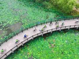 Cina: a Nantong spazi ecologici e ricreativi lungo lo Yangtze (3)