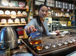 Cina: Yunnan, cultura del tè e turismo sul monte Jingmai (1)