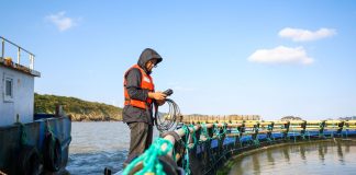 Cina: allevamenti e turismo, cresce la filiera dell’ombrina gialla (1)