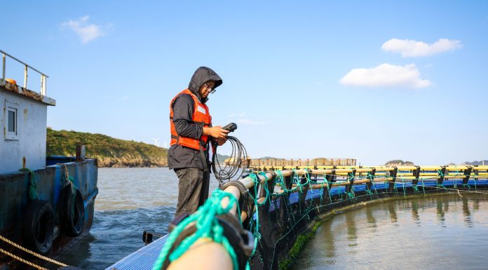Cina: allevamenti e turismo, cresce la filiera dell’ombrina gialla (1)