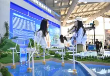 Cina: esperta, il Paese contribuisce alla transizione verde globale