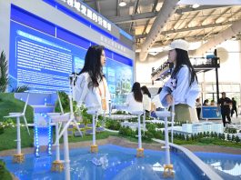 Cina: esperta, il Paese contribuisce alla transizione verde globale