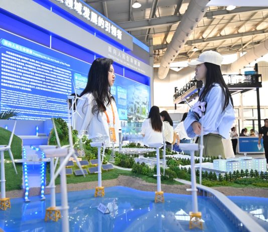 Cina: esperta, il Paese contribuisce alla transizione verde globale