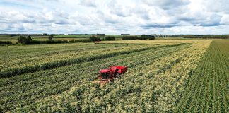 Cina: campi e coltivazioni nell’Heilongjiang (1)