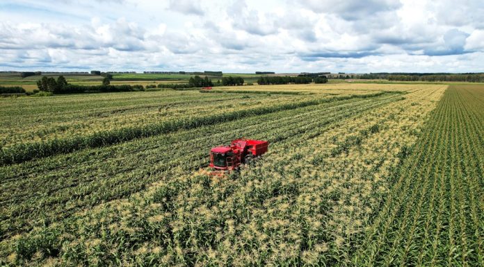 Cina: campi e coltivazioni nell’Heilongjiang (1)