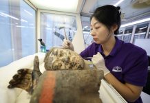 Cina: restauratori al lavoro sui Guerrieri di Terracotta a Xi’an (1)