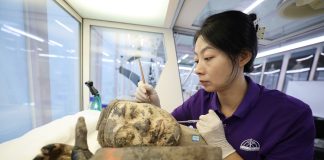 Cina: restauratori al lavoro sui Guerrieri di Terracotta a Xi’an (1)