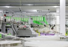 Cina: industria tessile e dell’abbigliamento in sviluppo a Yudu (2)