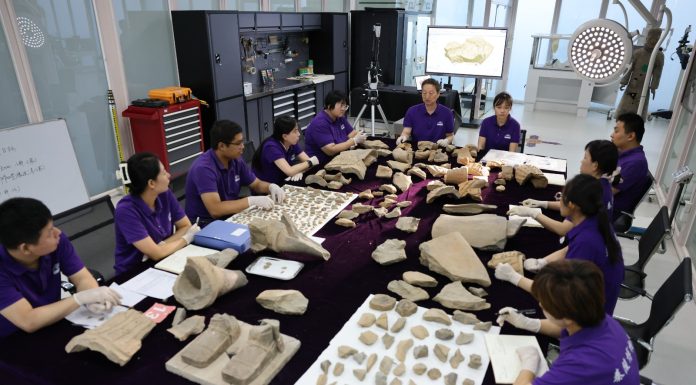 Cina: restauratori al lavoro sui Guerrieri di Terracotta a Xi’an (3)