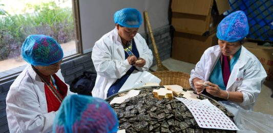 Cina: Yunnan, cultura del tè e turismo sul monte Jingmai (2)