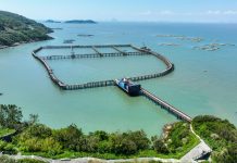 Cina: allevamenti e turismo, cresce la filiera dell’ombrina gialla (2)
