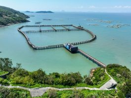 Cina: allevamenti e turismo, cresce la filiera dell’ombrina gialla (2)