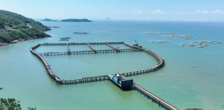 Cina: allevamenti e turismo, cresce la filiera dell’ombrina gialla (2)