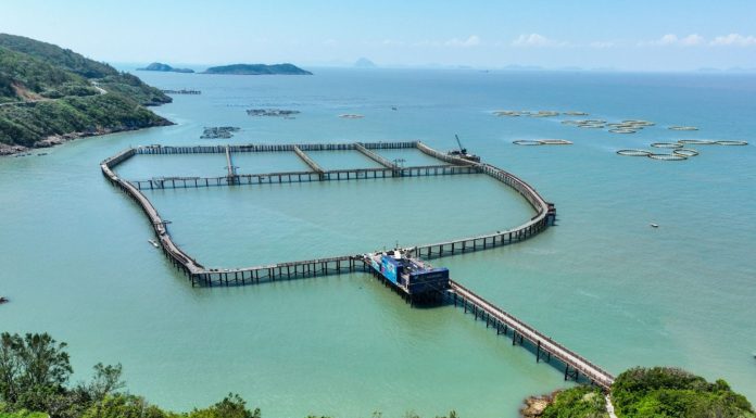 Cina: allevamenti e turismo, cresce la filiera dell’ombrina gialla (2)