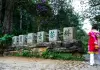 Cina: Yunnan, cultura del tè e turismo sul monte Jingmai (3)