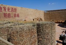 Cina: Ningxia, “villaggio del teatro” attira oltre 130.000 visitatori (3)