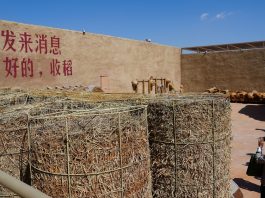Cina: Ningxia, “villaggio del teatro” attira oltre 130.000 visitatori (3)