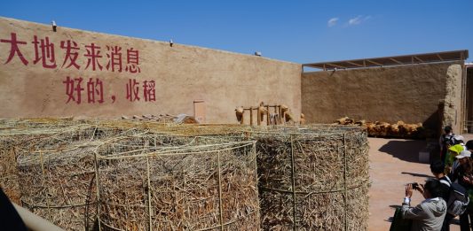 Cina: Ningxia, “villaggio del teatro” attira oltre 130.000 visitatori (3)