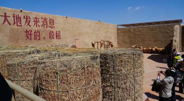 Cina: Ningxia, “villaggio del teatro” attira oltre 130.000 visitatori (3)