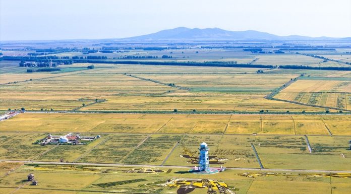 Cina: campi e coltivazioni nell’Heilongjiang (3)